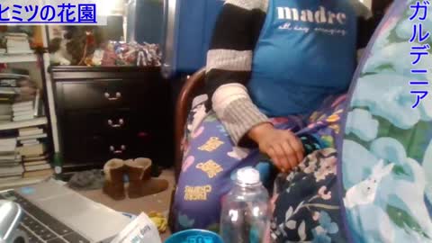 Gardenia online show from 12/24/24, 05:13