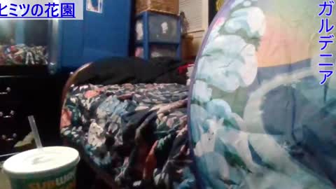 Gardenia online show from 12/25/24, 12:37