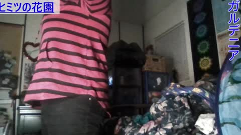 Gardenia online show from 01/07/25, 07:42