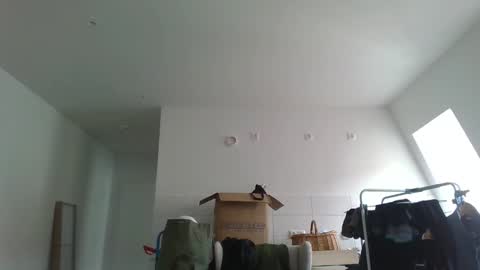Garfield online show from 03/21/26, 09:47