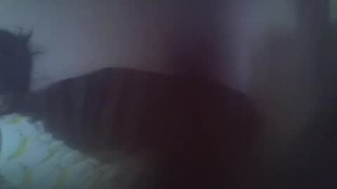 Snapshot of gasielah chatting on 01/27/25, 01:19 gasielah online show from 01/27/25, 01:19