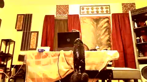 gatewaylaptop2019 online show from 03/09/25, 07:56