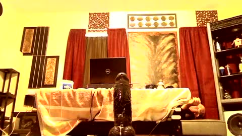 gatewaylaptop2019 online show from 03/09/25, 02:10