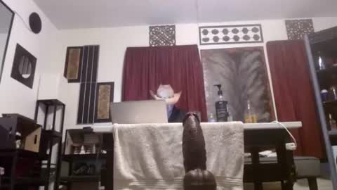 gatewaylaptop2019 online show from 04/02/26, 11:30