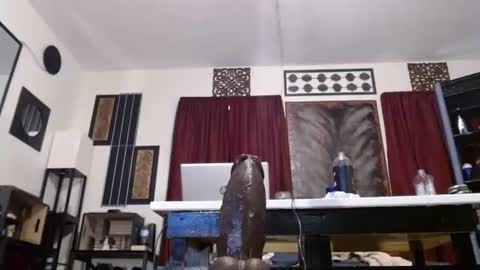 gatewaylaptop2019 online show from 04/19/26, 06:10