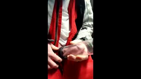 gator19037526775 online show from 03/13/26, 02:23