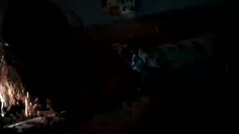 Daddy Gator online show from 02/27/25, 07:55