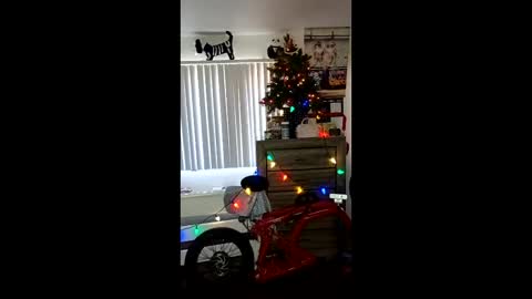 Zanecubano online show from 12/04/25, 07:11