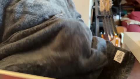 Snapshot of geezerblokeii chatting on 12/02/24, 09:13 geezerblokeii online show from 12/02/24, 09:13