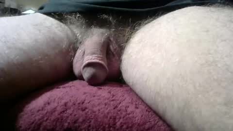 gemini_2 online show from 01/12/25, 03:46