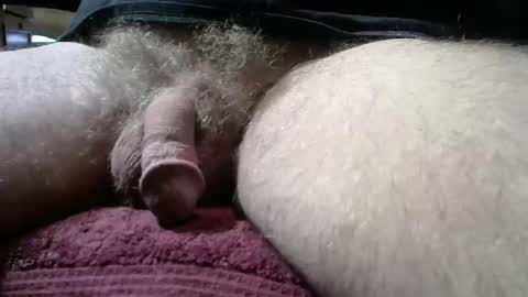 gemini_2 online show from 01/11/26, 02:55