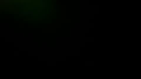 Snapshot of geminiguy1954 chatting on 10/01/25, 08:04 geminiguy1954 online show from 10/01/25, 08:04