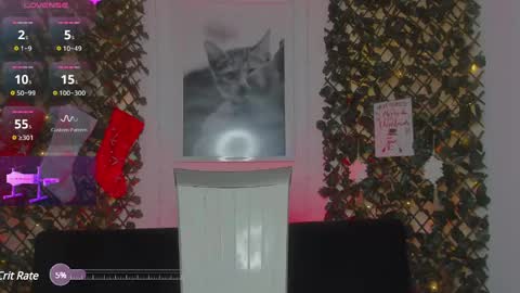 Geminis online show from 01/21/25, 06:54