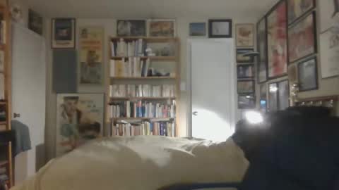 Snapshot of gentcallr chatting on 11/26/25, 07:42 Steve online show from 11/26/25, 07:42