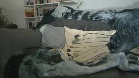 Geon online show from 12/19/25, 11:28