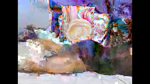 georgeous_kimberly online show from 03/25/26, 06:30