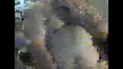 Snapshot of gerabo chatting on 12/21/24, 04:57 gerabo online show from 12/21/24, 04:57