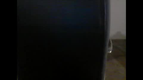 Snapshot of gerabo chatting on 01/25/25, 04:57 gerabo online show from 01/25/25, 04:57