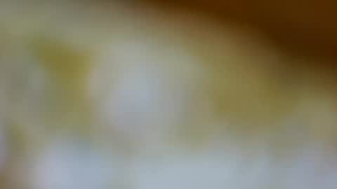 germanandy71 online show from 11/26/25, 09:10