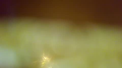 germanandy71 online show from 12/23/25, 08:01