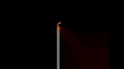 gerson229 online show from 01/14/26, 12:11