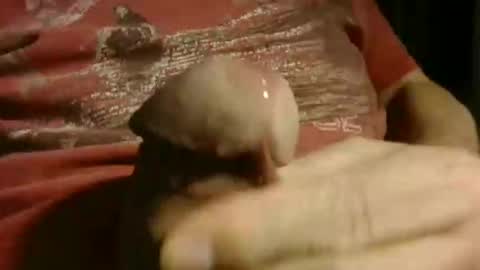 Snapshot of gettingstiff chatting on 01/12/26, 12:10 gettingstiff online show from 01/12/26, 12:10