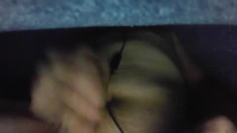 gezuz42069 online show from 03/31/26, 09:53