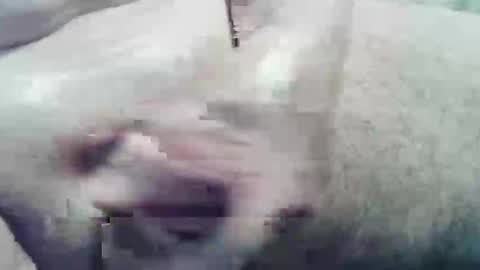 ghost1805 online show from 12/10/24, 02:05