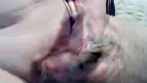 ghost1805 online show from 09/15/25, 09:04