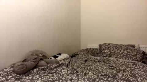 ghostpetal online show from 10/12/25, 01:37