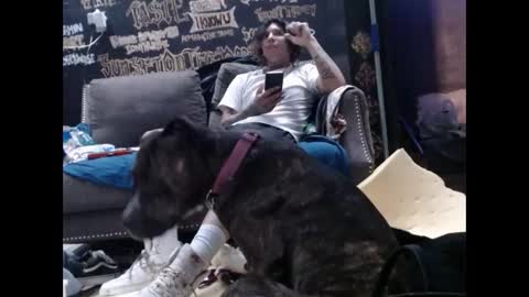 Snapshot of ghxstface23 chatting on 09/11/25, 02:00 ghxstface23 online show from 09/11/25, 02:00