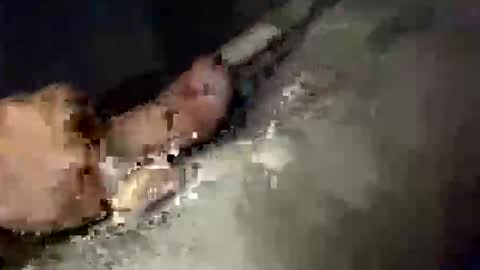 gifted2472 online show from 10/12/25, 05:06