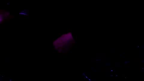 giftedbiker online show from 01/09/25, 06:17