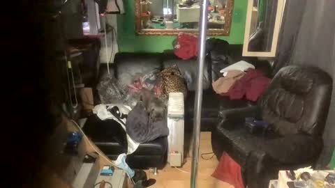 GinaGender online show from 11/24/25, 07:13