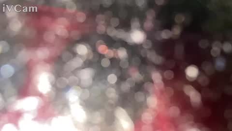 GingerNinja online show from 01/12/25, 10:33