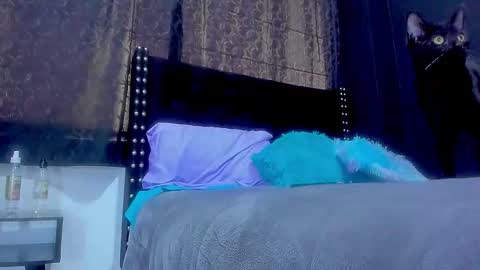 Miss online show from 09/29/25, 05:40