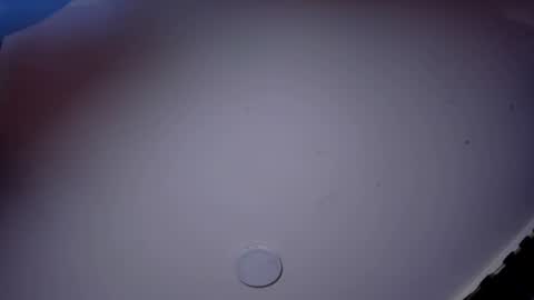 GIOMAR REYES online show from 06/10/26, 08:52