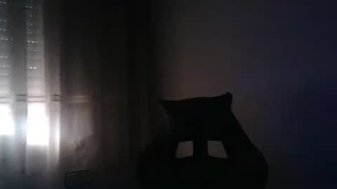 Snapshot of gioshadow chatting on 05/26/26, 03:52 gioshadow online show from 05/26/26, 03:52