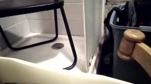 Snapshot of girlscallme666 chatting on 12/01/25, 07:30 lovegirlscallme online show from 12/01/25, 07:30