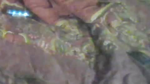 Snapshot of girlscallme666 chatting on 01/17/26, 08:52 lovegirlscallme online show from 01/17/26, 08:52