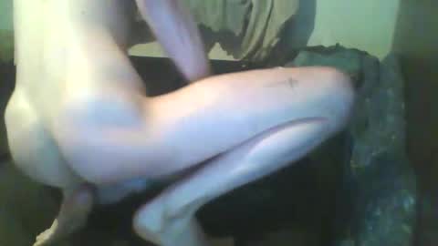 Snapshot of girthdoctor chatting on 12/03/25, 01:02 girthdoctor online show from 12/03/25, 01:02