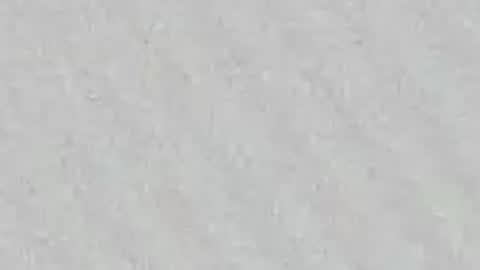 Gissy online show from 04/23/26, 11:53