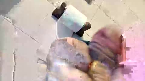 giutomma930394 online show from 01/12/26, 09:47