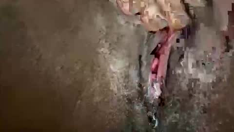 glazehoney online show from 10/28/25, 03:25