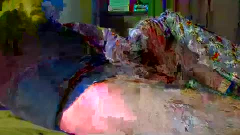 guybuzz online show from 12/18/24, 05:10