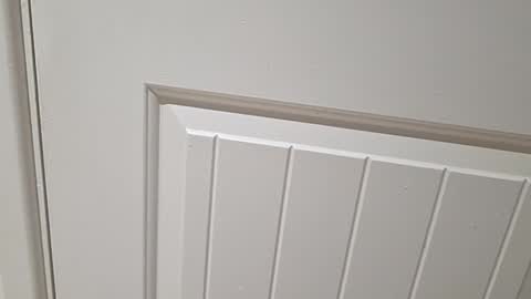 Gloscam online show from 11/23/25, 11:15