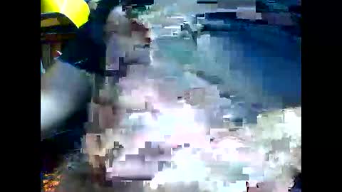 PencilDick online show from 11/21/25, 09:08