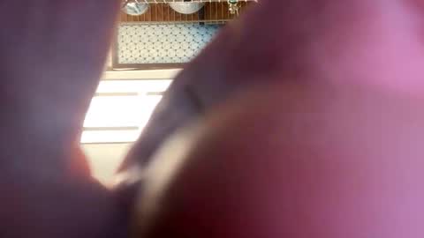 gngnxxx online show from 04/16/26, 04:02