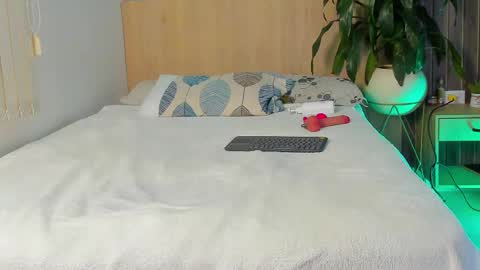 DIOSA online show from 04/29/26, 11:47