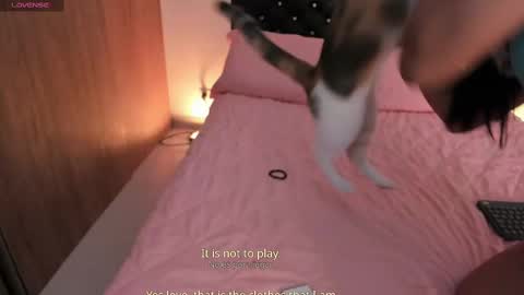 Snapshot of goddess_eli77 chatting on 10/04/25, 02:53 goddess_eli77 online show from 10/04/25, 02:53